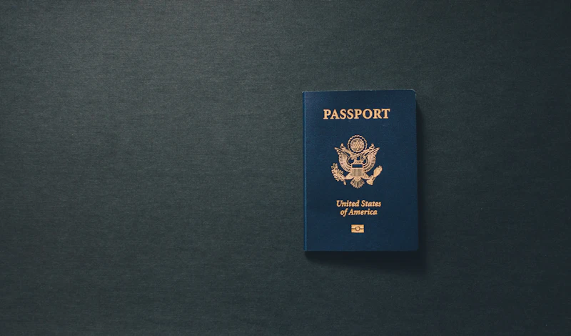 brazilian passport tax burden business compet em Cuiabá - Sistema de gestão e automação comercial MAXDATA CBA